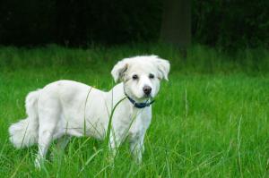 Hochgeladene Bilddatei