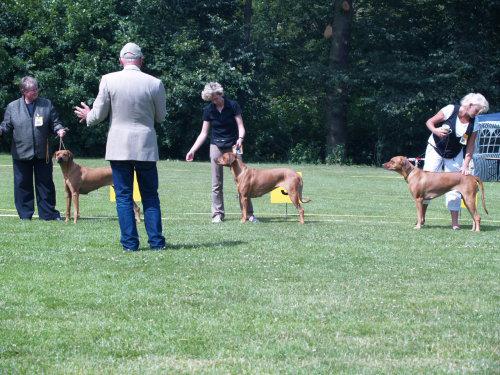 Hochgeladene Bilddatei