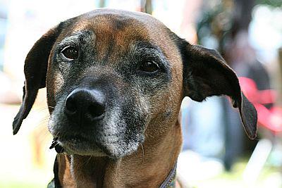 Hochgeladene Bilddatei