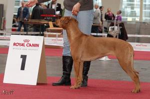 Hochgeladene Bilddatei