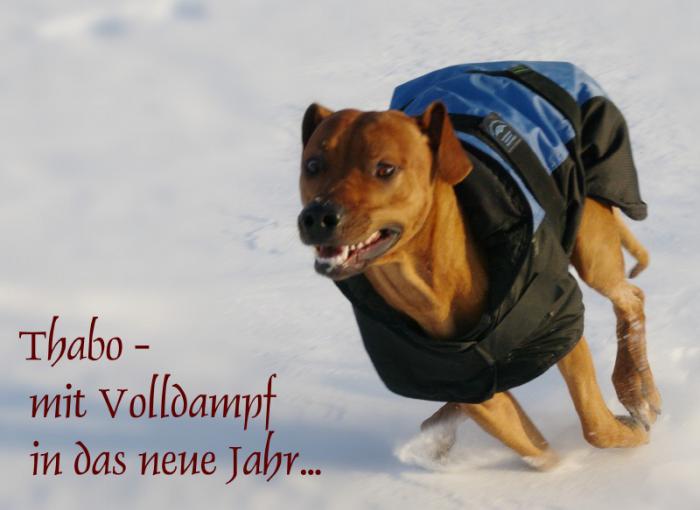 Hochgeladene Bilddatei