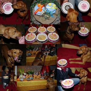 Hochgeladene Bilddatei