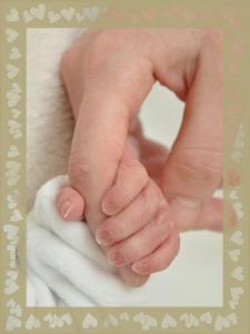 Hochgeladene Bilddatei