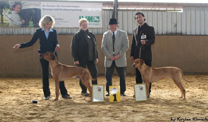 Hochgeladene Bilddatei