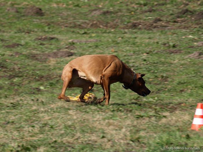 Hochgeladene Bilddatei