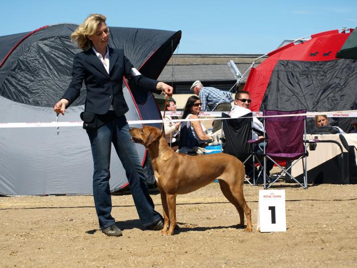 Hochgeladene Bilddatei