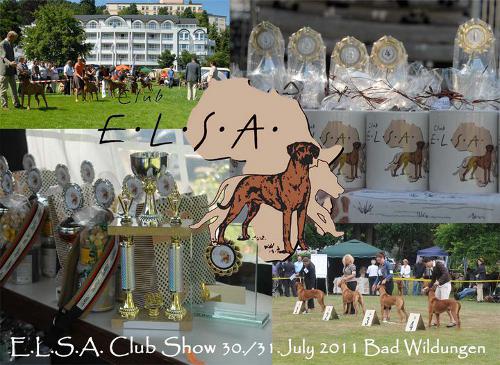 Hochgeladene Bilddatei