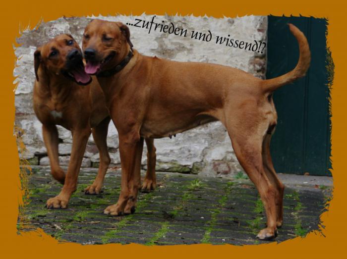 Hochgeladene Bilddatei