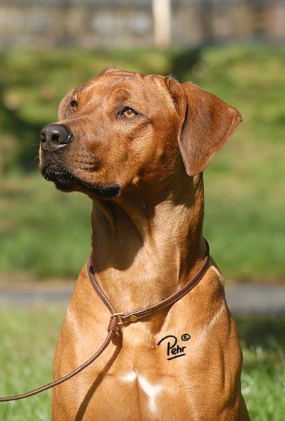 Hochgeladene Bilddatei