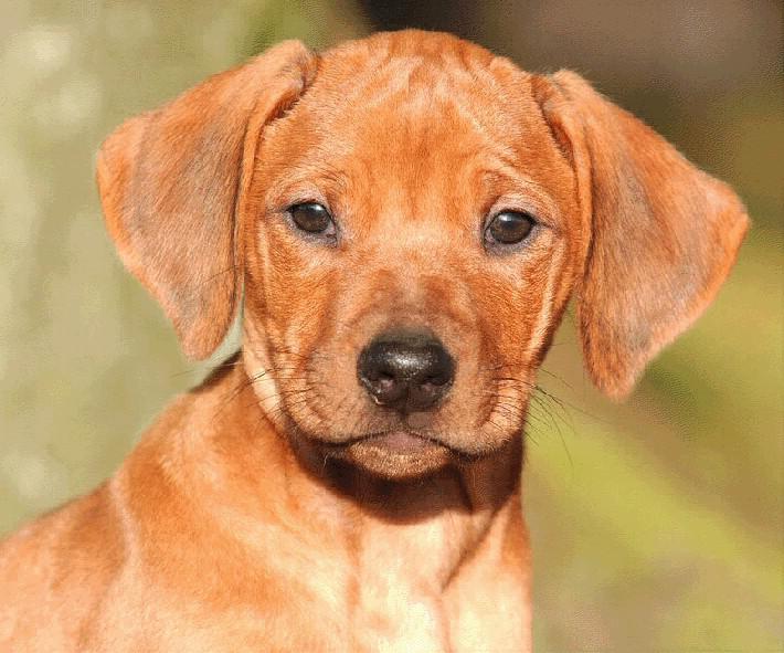 Hochgeladene Bilddatei