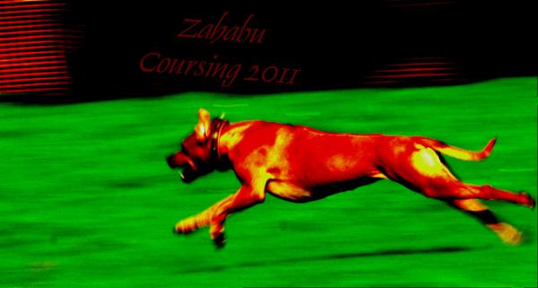 Hochgeladene Bilddatei