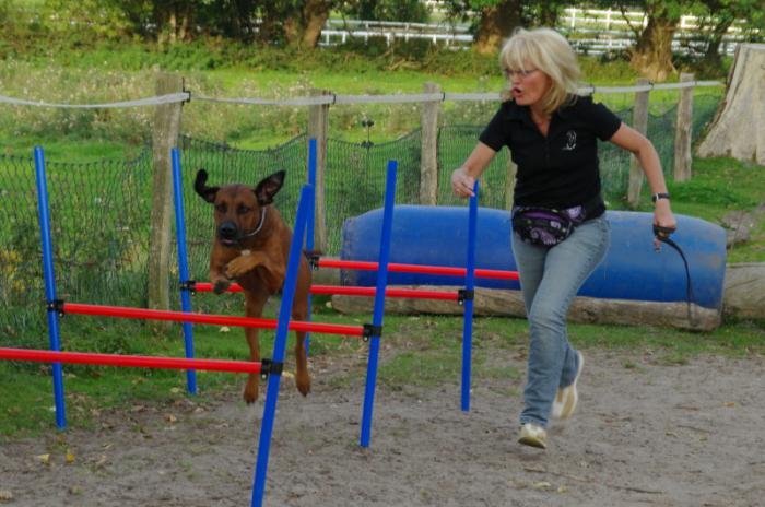 Hochgeladene Bilddatei