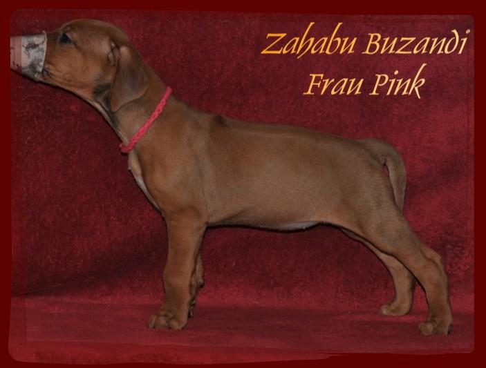 Hochgeladene Bilddatei