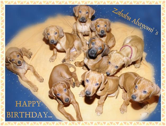 Hochgeladene Bilddatei