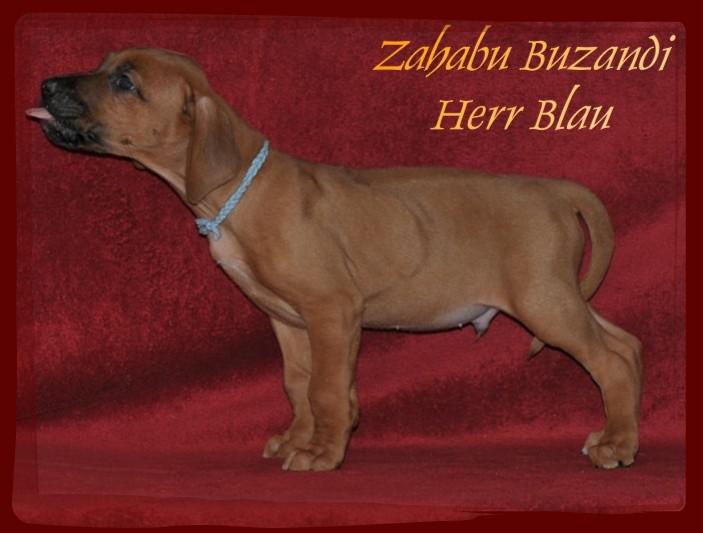 Hochgeladene Bilddatei