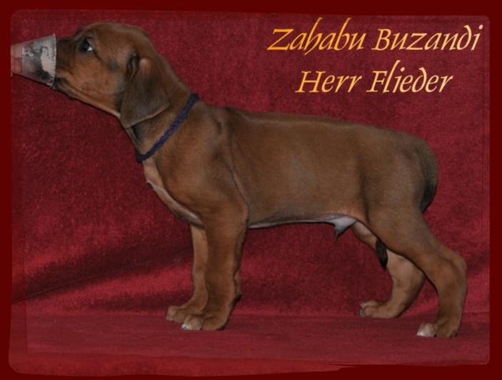 Hochgeladene Bilddatei