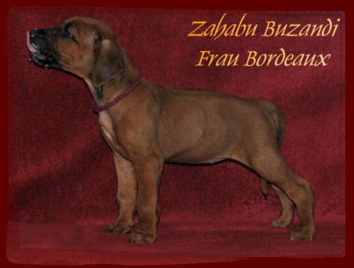 Hochgeladene Bilddatei