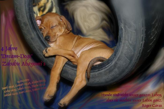 Hochgeladene Bilddatei