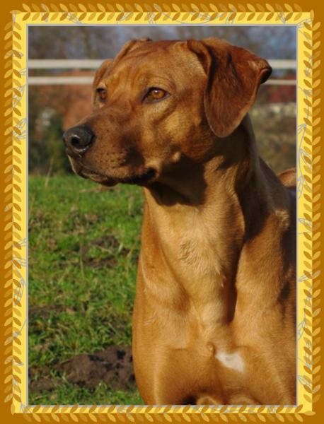 Hochgeladene Bilddatei