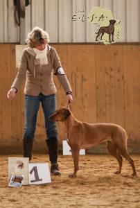 Hochgeladene Bilddatei