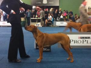 Hochgeladene Bilddatei