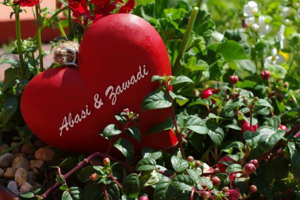 Hochgeladene Bilddatei