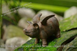 Hochgeladene Bilddatei