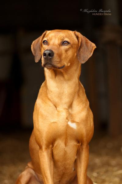 Hochgeladene Bilddatei