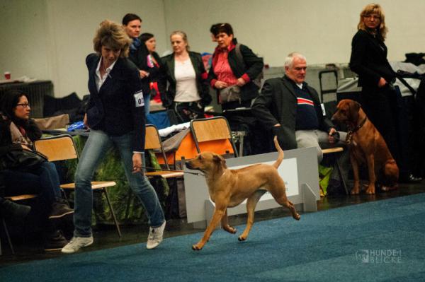 Hochgeladene Bilddatei