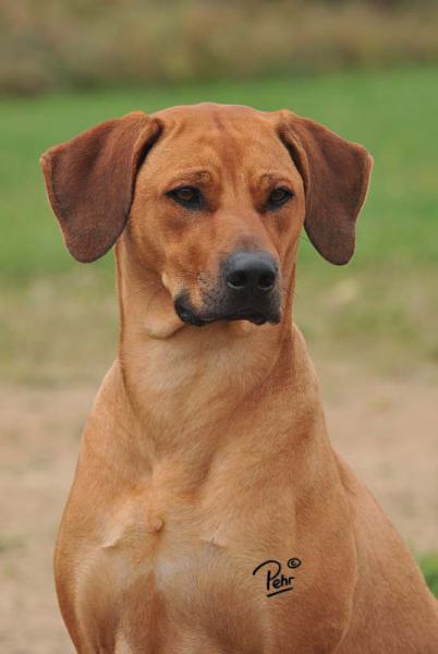 Hochgeladene Bilddatei